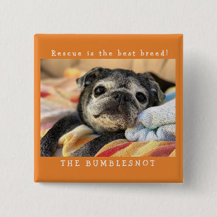 Bumblesnot button: Rescue is the best breed! 2 Inch Square Button