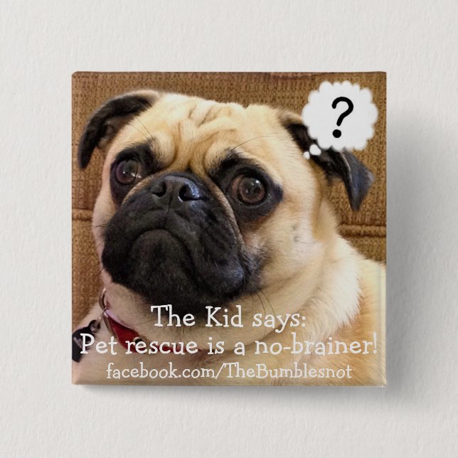 Bumblesnot button: The Kid/Pet rescue no-brainer 2 Inch Square Button (Front)