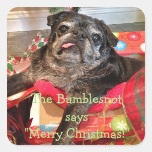 Bumblesnot Christmas Stickers