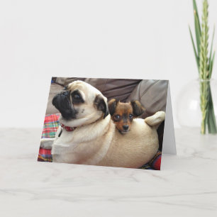 Bumblesnot greeting card: I've got your back! Card