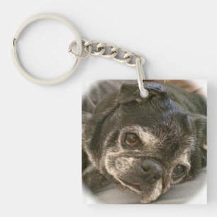 Bumblesnot keychain: Puggy please? Keychain