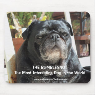 Bumblesnot "Most Interesting" mousepad