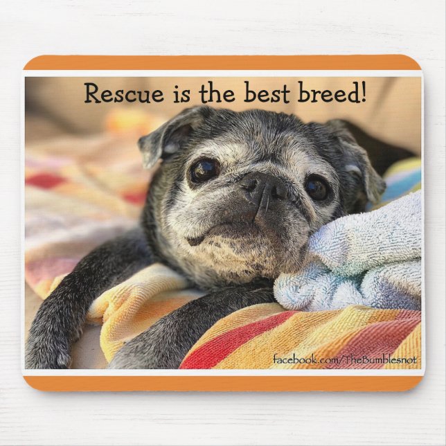 Bumblesnot mousepad: Rescue is the best breed! Mouse Pad (Front)