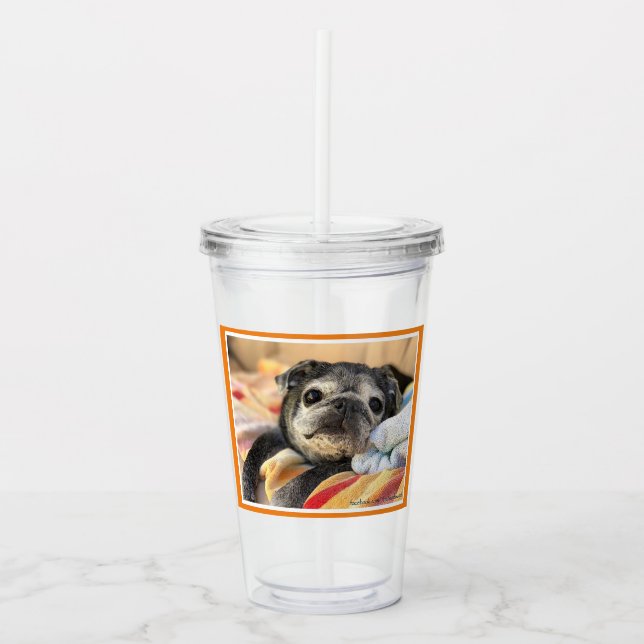 Bumblesnot "Oh, what a Bumbleful Day!" Acrylic Tumbler (Front)