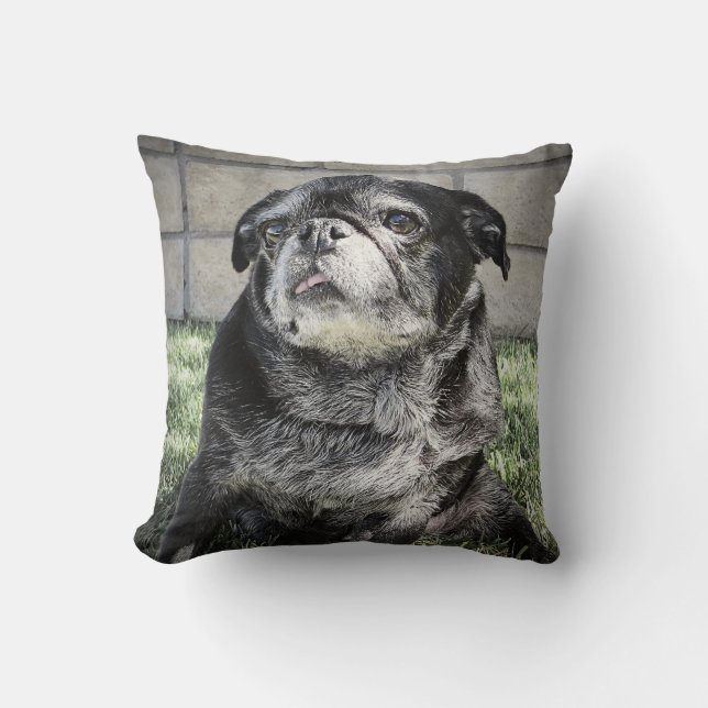 Bumblesnot Pillow (Front)