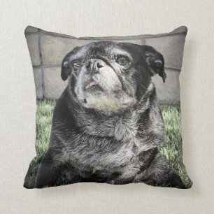 Bumblesnot Pillow