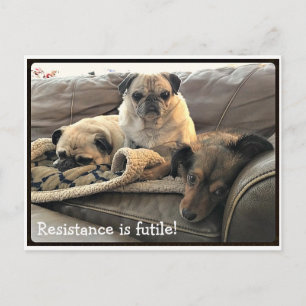 Bumblesnot: Resistance is Futile postcard