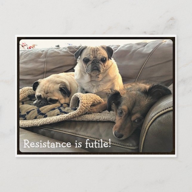 Bumblesnot: Resistance is Futile postcard (Front)