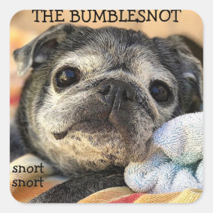 Bumblesnot stickers: snort snort square sticker