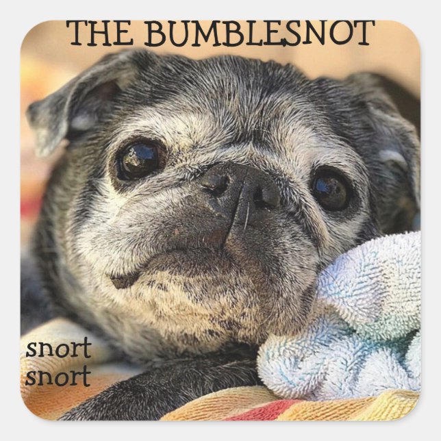 Bumblesnot stickers: snort snort square sticker (Front)