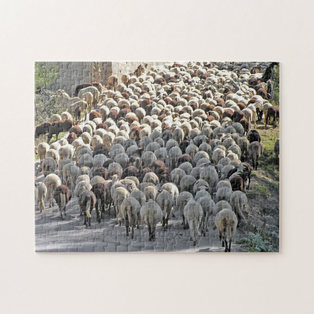 "Bummer" tricky sheeps bottoms jigsaw puzzle (Horizontal)