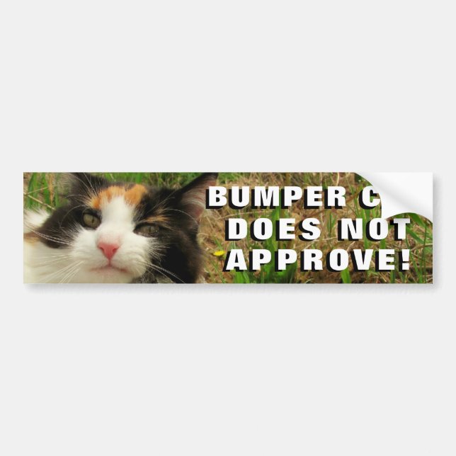 Bumper Cat Does Not Approve Meme Sticker (Front)