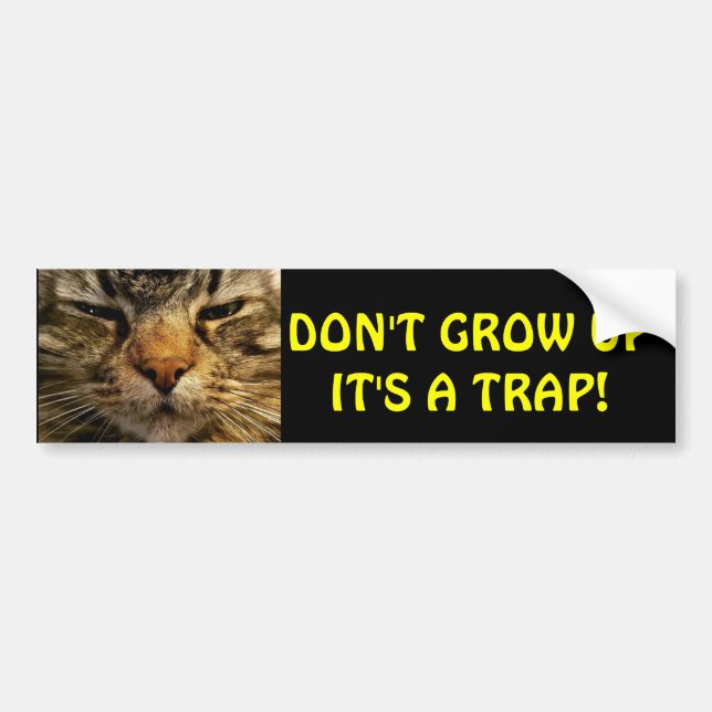 Bumper Cat  Don't Grow Up Meme Bumper Sticker (Front)