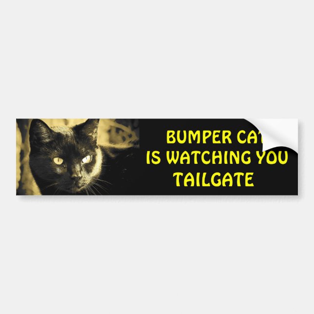 Bumper Cat is watching TAILGATE 16 Sticker (Front)