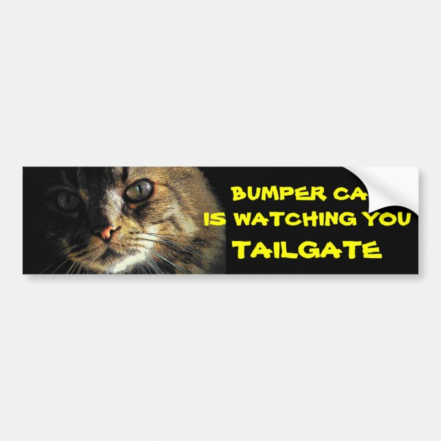 Bumper Cat is watching TAILGATE 23 Sticker (Front)