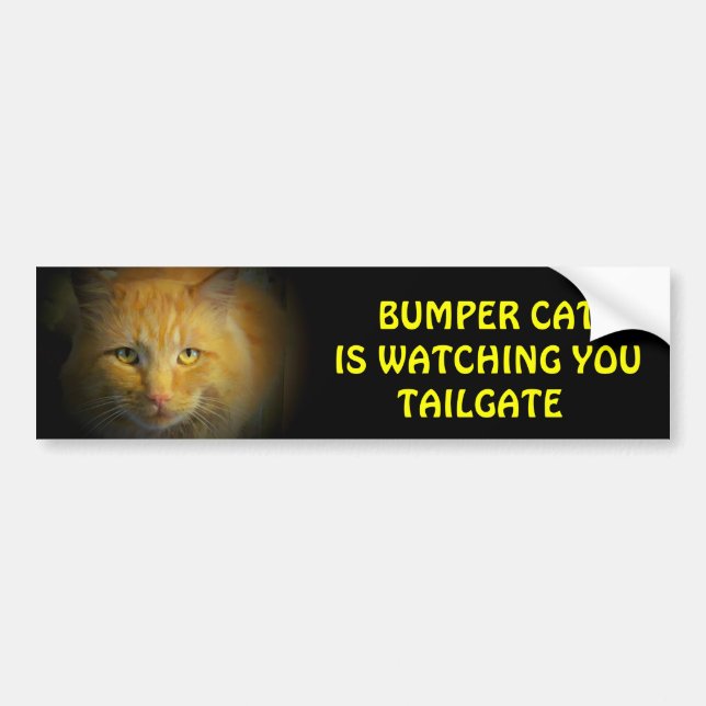 Bumper Cat is watching TAILGATE 25 Bumper Sticker (Front)