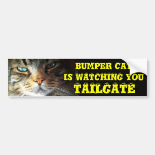 Bumper Cat is watching TAILGATE 2 (eyeball font) Sticker