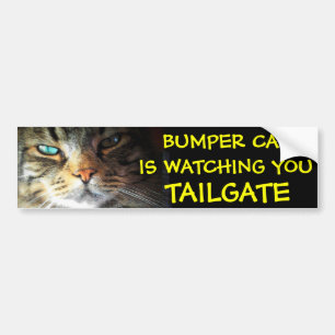 Bumper Cat is watching TAILGATE 2 (new font) Sticker