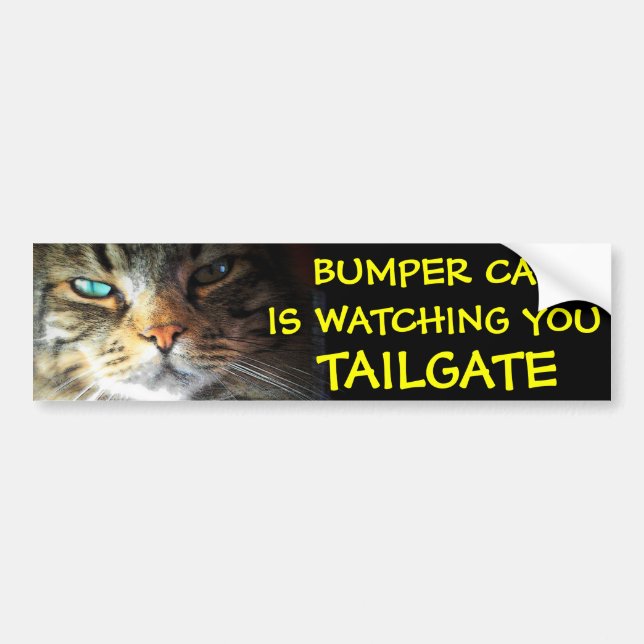 Bumper Cat is watching TAILGATE 2 (new font) Sticker (Front)
