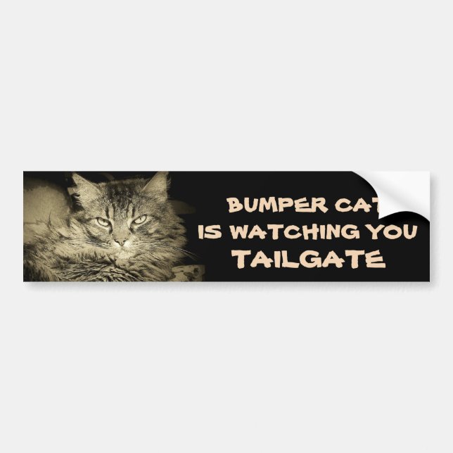 Bumper Cat is watching TAILGATE 34 Shades of Grey Sticker (Front)