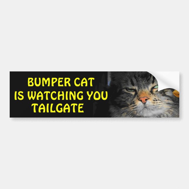 Bumper Cat is watching TAILGATE 34 Sticker (Front)