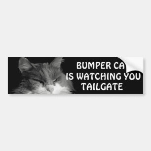 Bumper Cat is watching TAILGATE 36 Meme Sticker