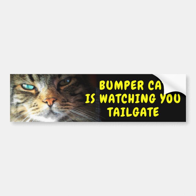 Bumper Cat is watching TAILGATE 42 Chewy Font Sticker (Front)
