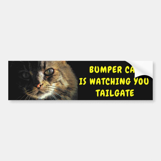 Bumper Cat is watching TAILGATE 43 Bumper Sticker (Front)