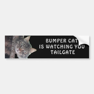 Bumper Cat is watching TAILGATE 45 Sticker