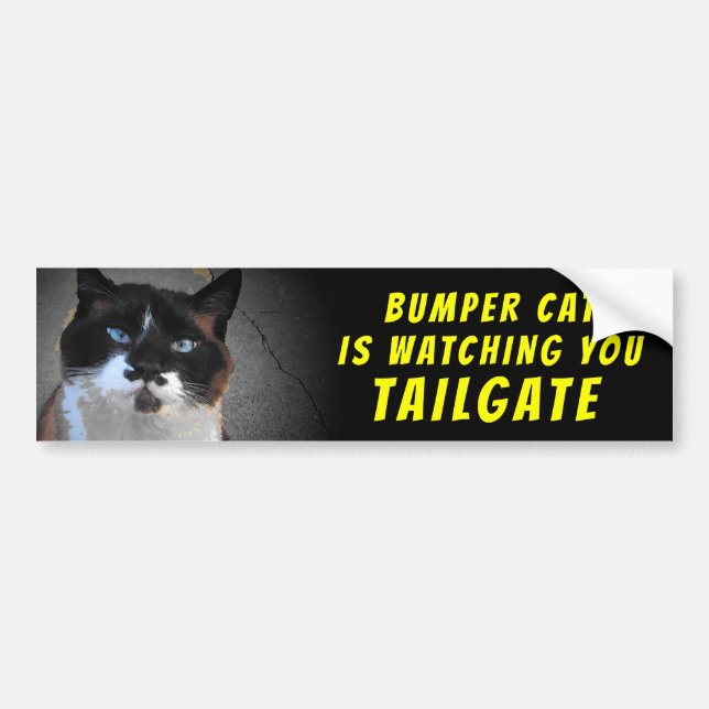 Bumper Cat is watching TAILGATE 46 Sticker (Front)