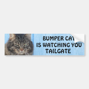 Bumper Cat is watching TAILGATE 6 meme Sticker