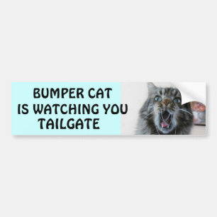 Bumper Cat is watching TAILGATE 7 Sticker