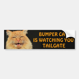 Bumper Cat is watching you TAILGATE 13 Meme Sticker