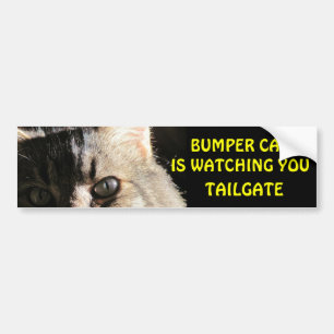 Bumper Cat is Watching You TAILGATE 5 Sticker