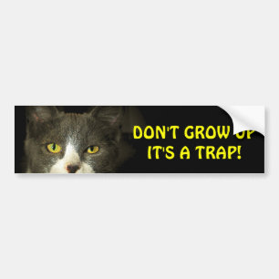 Bumper Cat Says Don't Grow Up Meme Sticker