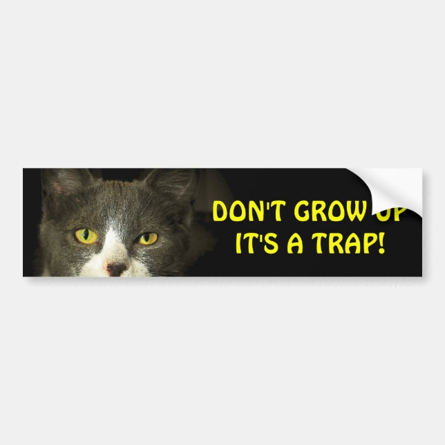 Bumper Cat Says Don't Grow Up Meme Sticker (Front)