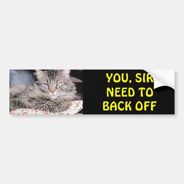 Bumper Cat Says, You Sir Need To Back Off Bumper Sticker (Front)
