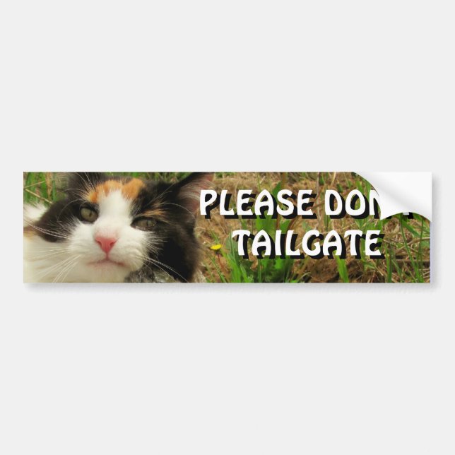 Bumper Cat Wants You To Back Off Meme Sticker (Front)