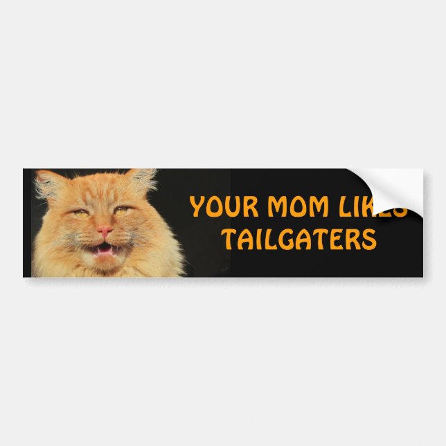Bumper Cat your Mom Likes Tailgaters Sticker (Front)