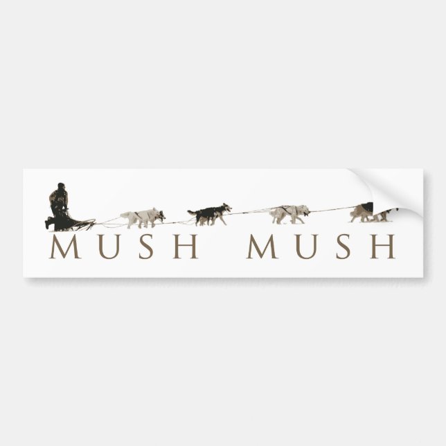 Bumper Sticker (Front)