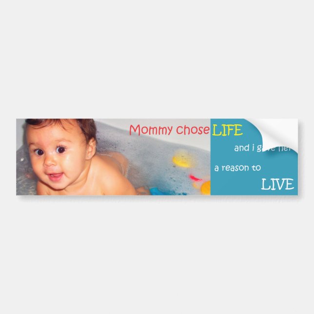 Bumper Sticker (Front)