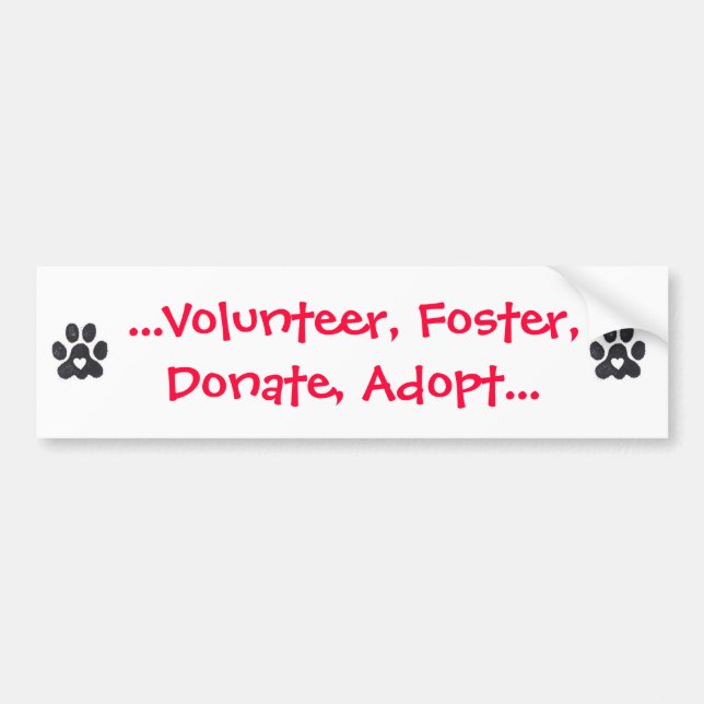 Bumper Sticker (Front)