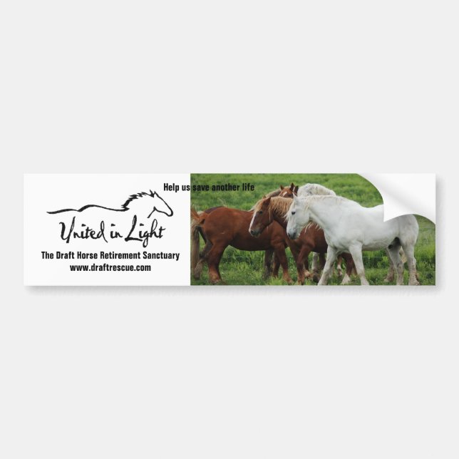bumper sticker (Front)