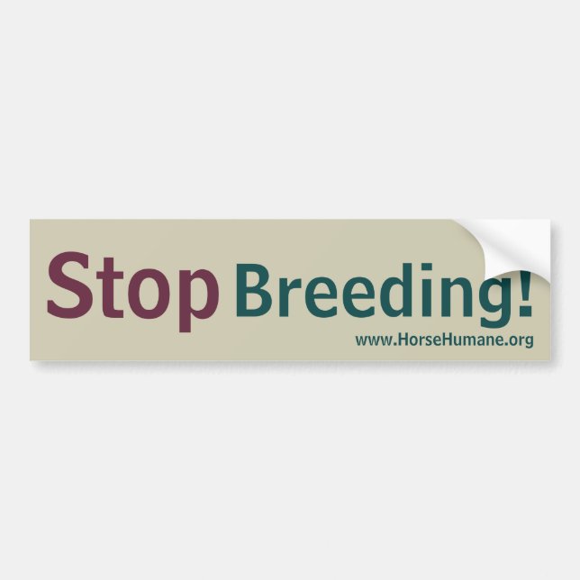 Bumper Sticker (Front)