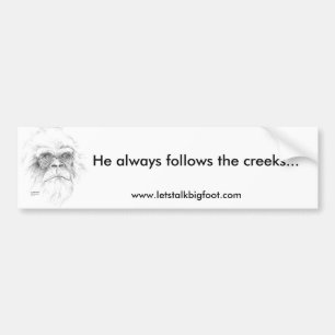 Bumper Sticker