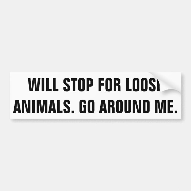 Bumper Sticker (Front)