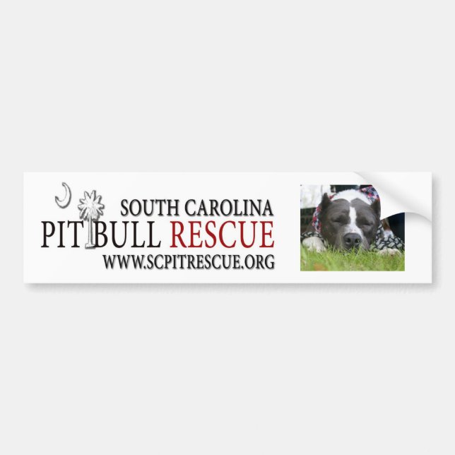 Bumper Sticker (Front)