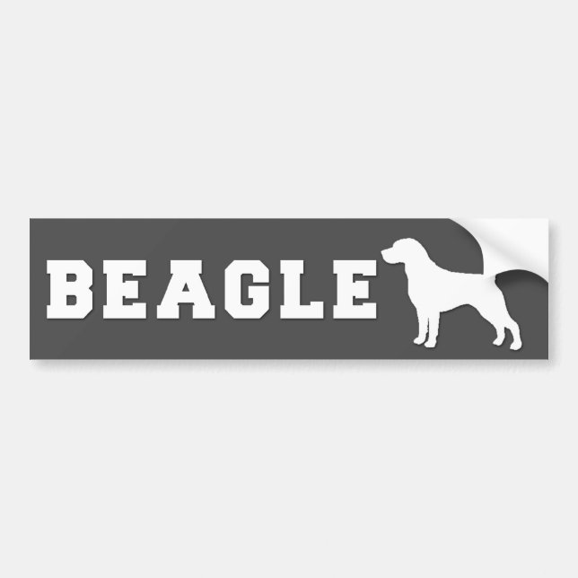 Bumper sticker Beagle - Grey (Front)