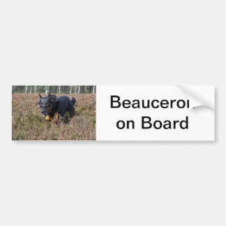 bumper sticker beauceron