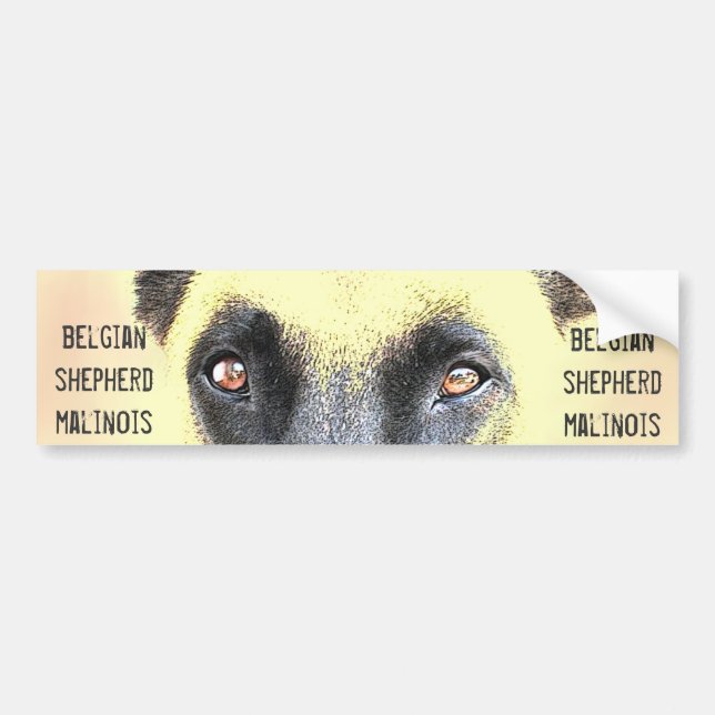 Bumper Sticker belgian shepherd malinois (Front)